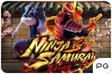 Ninja Vs Samurai